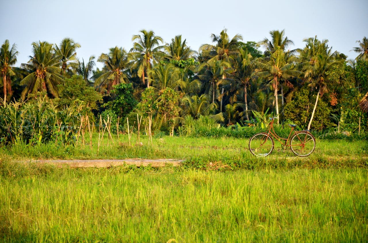 A Brown Bicycle Parked on the Grass Field